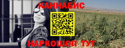spice Дубна