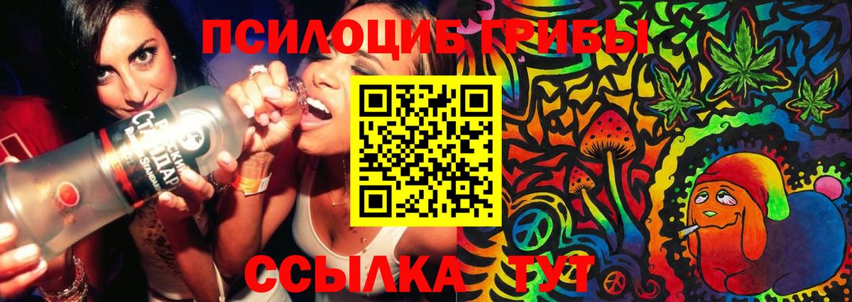 Псилоцибиновые грибы мухоморы Мариинск